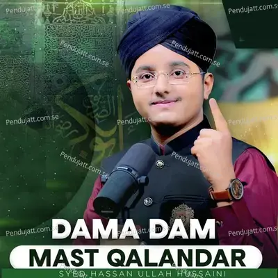 Dama Dam Mast Qalandar - Syed Hassan Ullah Hussaini album cover 