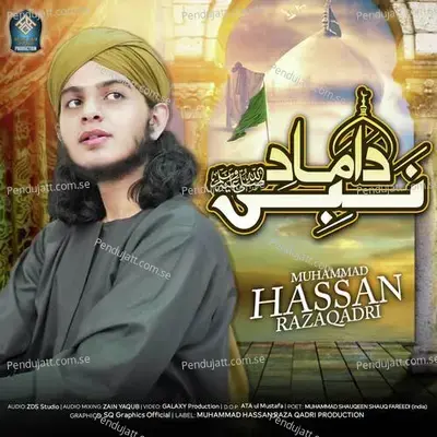 Damad-E-Nabi - Muhammad Hassan Raza Qadri album cover 