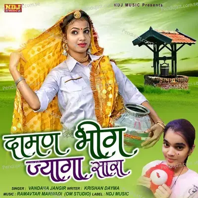 Daman Bhig Jyaga Sara - Vandana Jangir album cover 