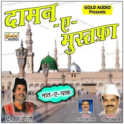 Daman-E-Mustafa - Dilkash Warsi album cover 