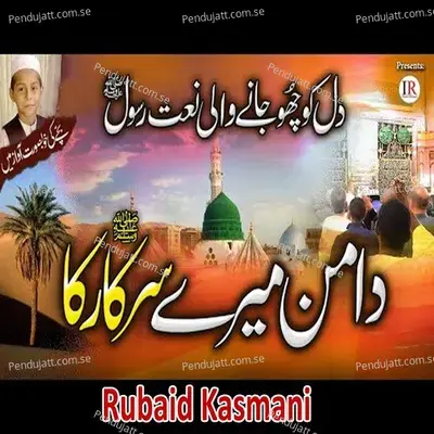 Ulama Ka Sath Do - Hafiz Hammad Hameed album cover 