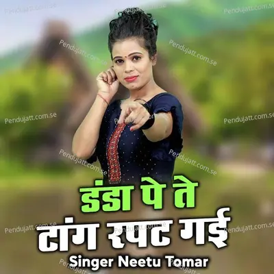 Danda Pe Te Taang Rapat Gayi - Neetu Tomar album cover 