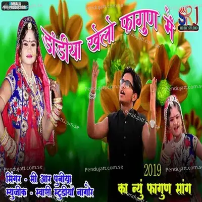Dandiya Khalo Fagan Me - Cr Puniya album cover 