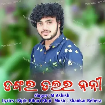 Dangar Talar Nani - M Ashish album cover 