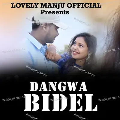 Dangwa Bidel - Stephan Tudu album cover 