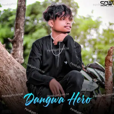 Dangwa Hero - Stephan Tudu album cover 