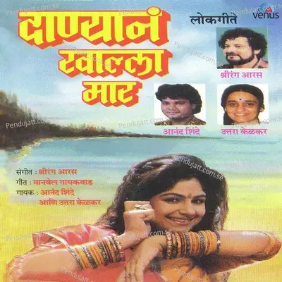 Pori Ga Pori - Anand Shinde album cover 