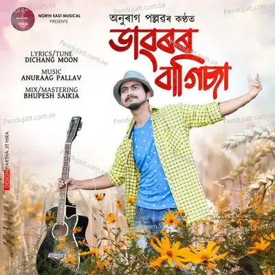 Daoror Bagisa - Anuraag Pallav album cover 