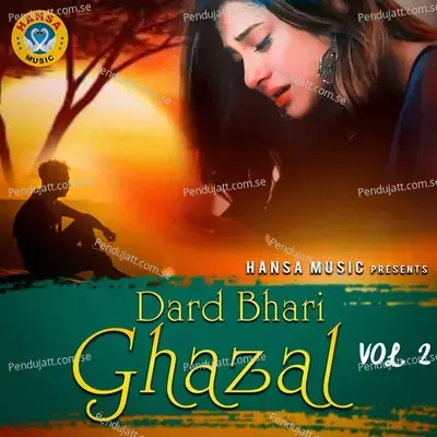 Wo Ladki Badi Bewafa Ho Gayi - Shaqeel Ashfaq album cover 