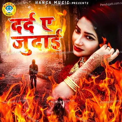 Bewafa O Harjai Aag Yeh Kaisi Lagai - Naim Sabri album cover 