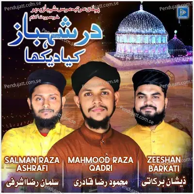 Dare Shahbaz Kya Dekha - Mahmood Raza Qadri album cover 