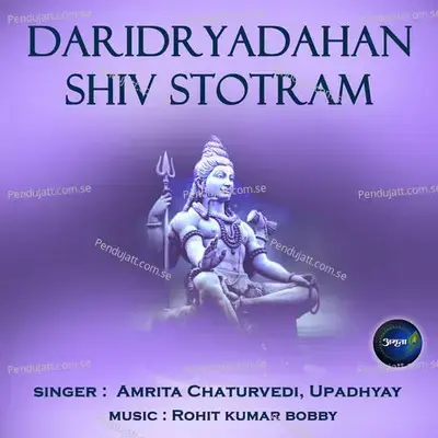 Daridryadahan Shiv Stotram - Amrita Chaturvedi album cover 