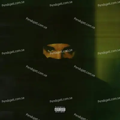 Deep Pockets - Drake album cover 