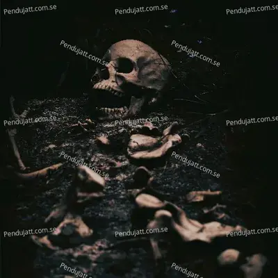 Dare - Scary Halloween Music album cover 