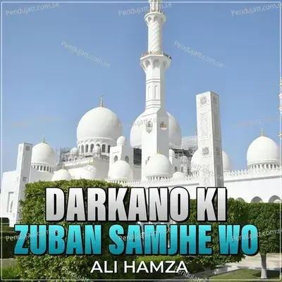 Darkano Ki Zuban Samjhe Wo - Ali Hamza album cover 