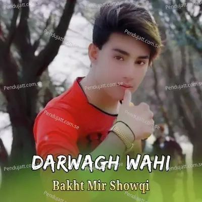 Darwagh Wahi - Bakht Mir Showqi cover album