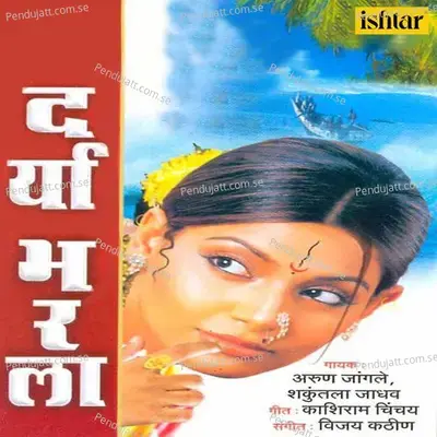 Aakhar Barshiche Narali Punaveche - Vijay Kathin album cover 