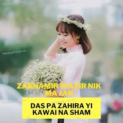 Das Pa Zahira Yi Kawai Na Sham - Zarnamir Wazir album cover 