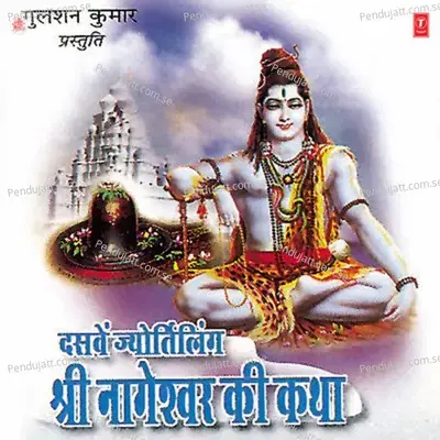 Daswein Jyotirling Nageshwar Maharaj Inka Mandir - Debashish Dasgupta album cover 