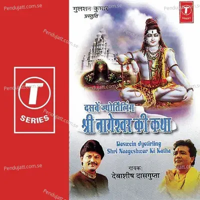 Daswein Jyotirling Shri Nageshwar Ki Katha - Shailendra Bhartti album cover 