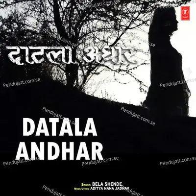 Datala Andhar - Bela Shende album cover 