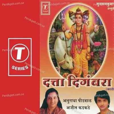 Dhanya Dhanya Ho Pradakshina - Nandu Honap album cover 