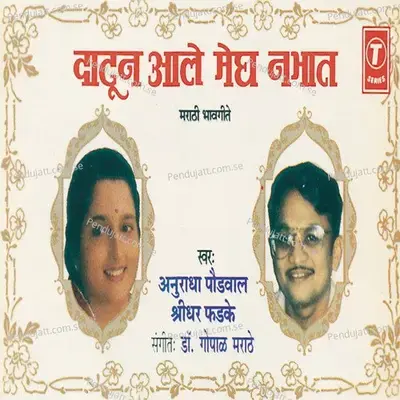 Daatun Aale Megh Nabhaat - Anuradha Paudwal album cover 