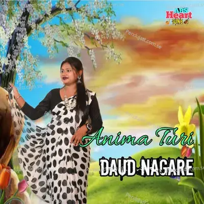 Daud Nagare - Anima Turi album cover 