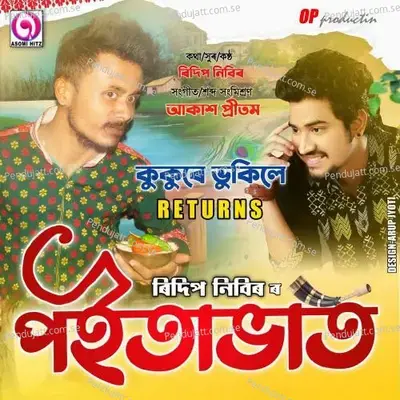 Poitabhat - Ridip Nibir album cover 