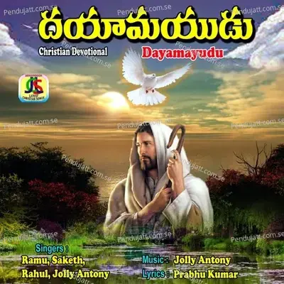 Nannu Rakshinchina - Jolly Antony album cover 