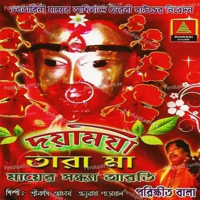 Ami Noyan - Anuradha Paudwal album cover 