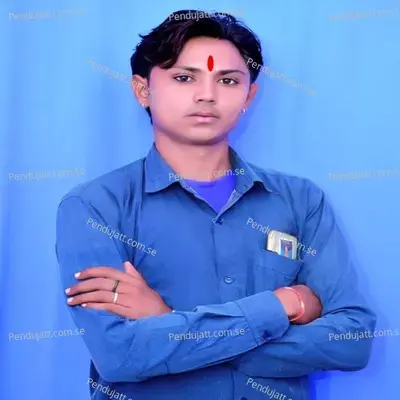 De D R Vishvas Diwana - Surjan Meena album cover 