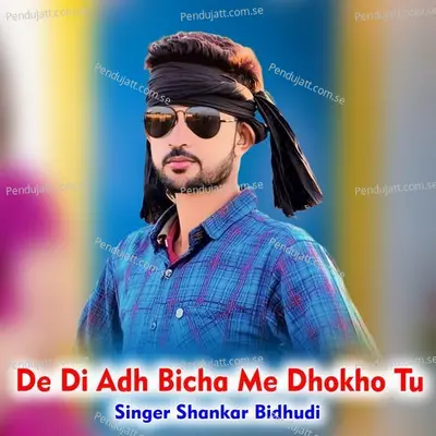 De Di Adh Bicha Me Dhokho Tu - Shankar Bidhudi album cover 