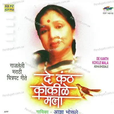 Hechte Hechte Charan Anantache - Vasant Desai album cover 