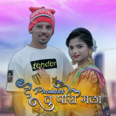 De Promiss Tu Pori Mala - Shreyash Patil album cover 