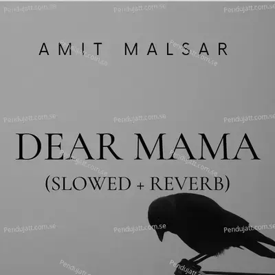 Dear Mama - Amit Malsar album cover 