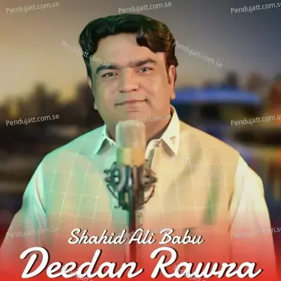 Deedan Rawra - Shahid Ali Babu album cover 