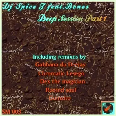 Deep Session - Dj Spice T cover album