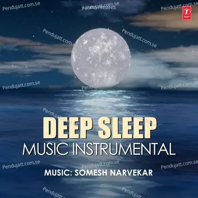 Deep Sleep Music Instrumental - Somesh Narvekar album cover 