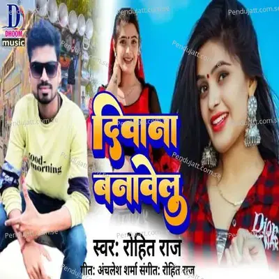 Deewana Banavelu - Rohit Raj album cover 