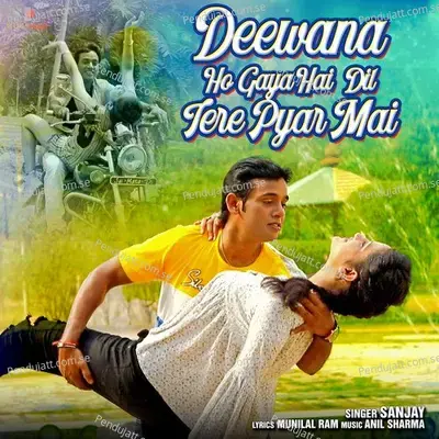 Deewana Ho Gaya Hai Dil Tere Pyar Mai - Sanjay album cover 