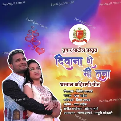 Deewana She Me Tuna - Daya Naik album cover 