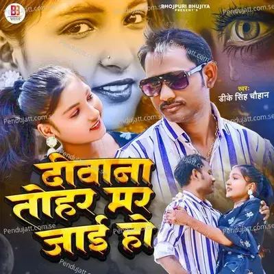 Deewana Tohar Mar Jai Ho - Dk Singh Chauhan album cover 