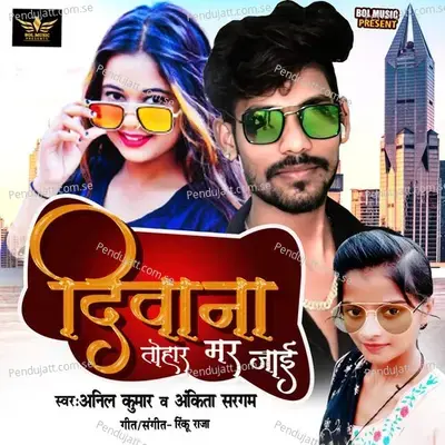 Deewana Tohar Mar Jayi - Anil Kumar album cover 