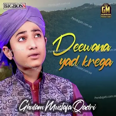 Deewana Yad Krega - Ghulam Mustafa Qadri album cover 