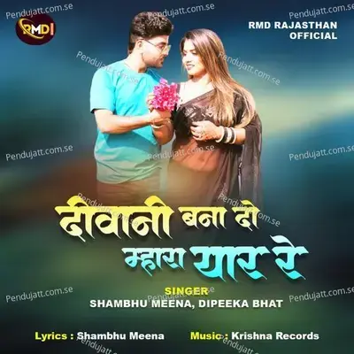 Deewani Bana Do Mara Yaar Re - Shambhu Meena album cover 