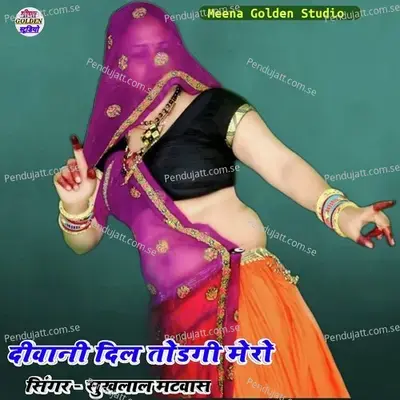 Deewani Dil Todgi Mero - Sukhlal Matwas album cover 