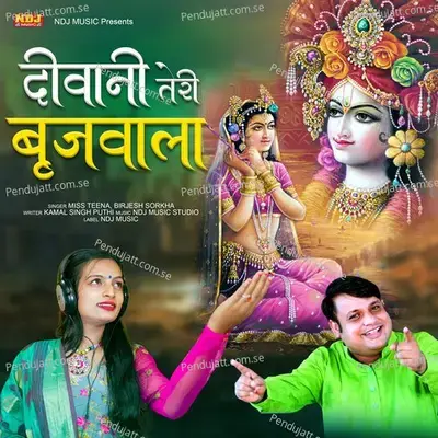 Deewani Teri Brijwala - Miss Teena album cover 