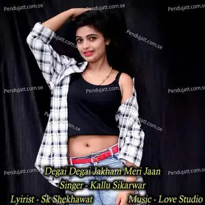 Degai Degai Jakham Meri Jaan - Kallu Sikarwar album cover 