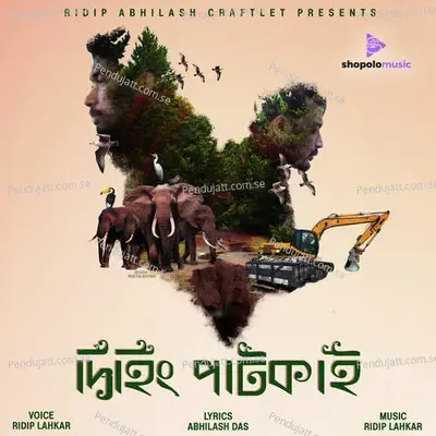 Dehing Patkai - Ridip Lahkar album cover 